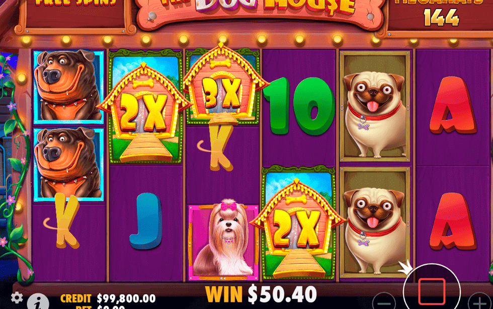 Doghouses Caught